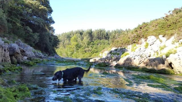 Apartamento Rural Lago Enol Onís 외부 사진